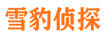 漠河市婚外情调查